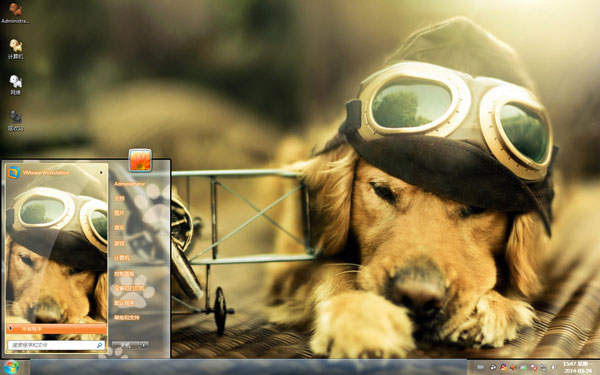 小飞行员金毛犬Win8主题
