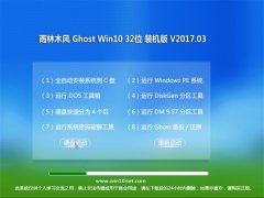 ľGhost Win10 (32λ) װ2017V03(Լ)