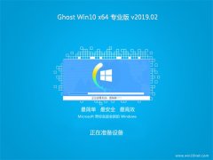 ̲ϵͳGhost Win10 x64λ רҵ 2019V02(ü)