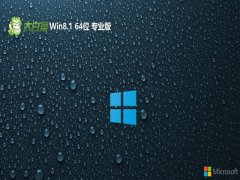<font color='#333333'>ײv2025.07win8.1 64λعٰ</font>