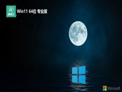 <font color='#FF0000'>ʿwin11⼤64λǿ߶˰v2025.07</font>