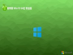 ƻϵͳwin10 64λרעv2024.05