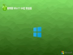 ƻϵͳwin11 64λ ⼤רҵv2024.05