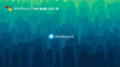 系统之家Windows11 经典装机版64位 2021.08